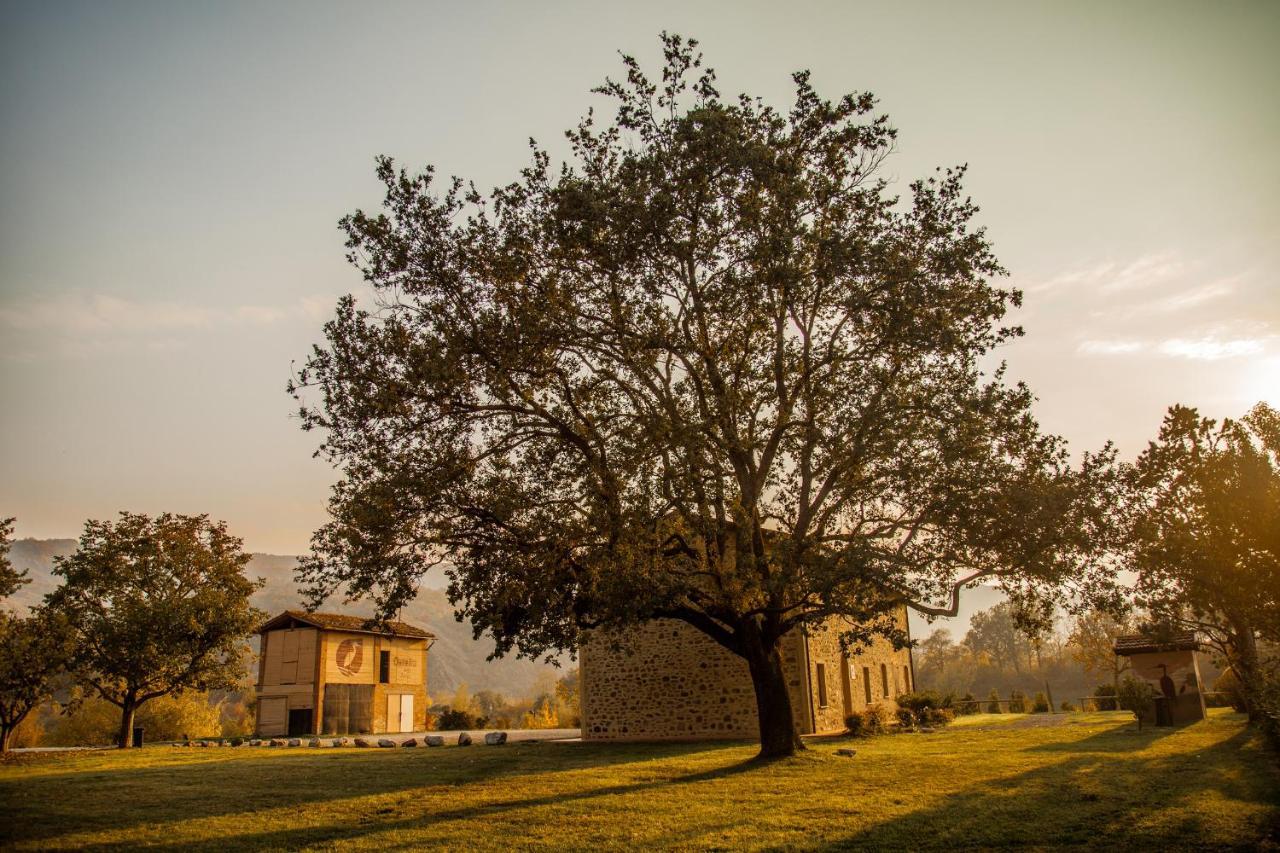 Villaggio Della Salute Piu มอนเตเรนซิโอ ภายนอก รูปภาพ